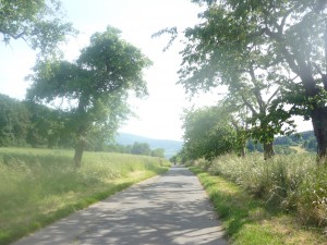 Verwunschene Fahrradwege bei Eschwege